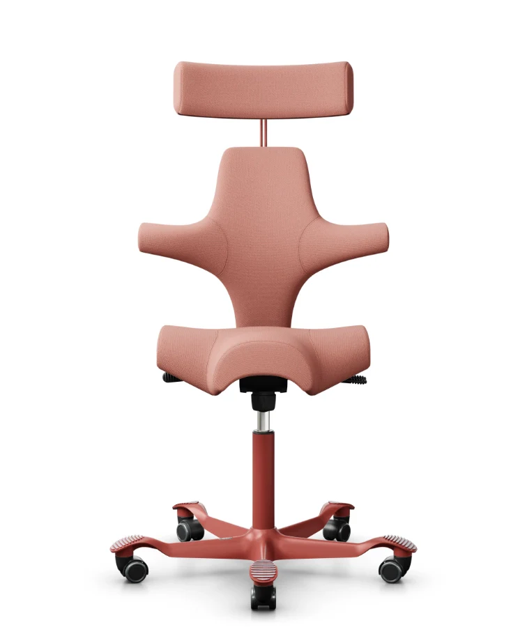 Best Office Chairs for Back Pain and Sciatica - Ergonomic Solutions